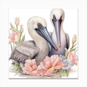 Pelicans And Flowers Canvas Print