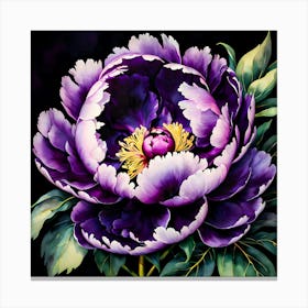 Violet Peony Canvas Print