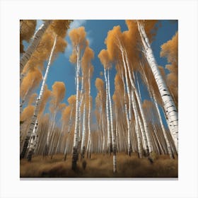 Birch tops Canvas Print