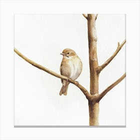 Bird On A Branch Canvas Print