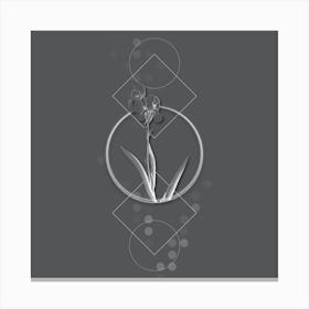 Vintage Tall Bearded Iris Botanical with Line Motif and Dot Pattern in Ghost Gray n.0040 Canvas Print