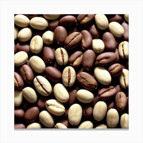 Coffee Beans 255 Canvas Print