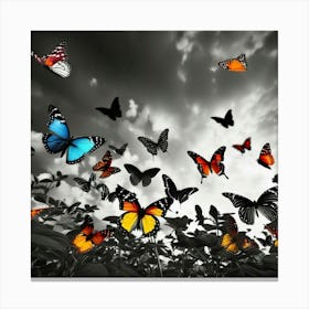 Butterfly - Butterfly Stock Videos & Royalty-Free Footage Canvas Print