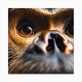 Close Up Of A Monkey'S Face Canvas Print