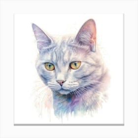 Australian Mist Shorthair Cat Portrait 2 Canvas Print