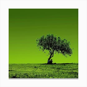 Lone Tree 15 Canvas Print