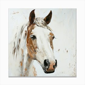 Horse Portrait Canvas Print