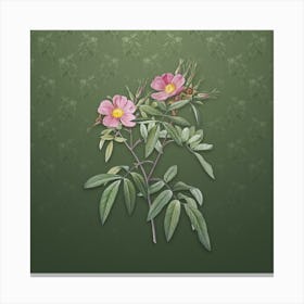 Vintage Pink Swamp Roses Botanical on Lunar Green Pattern n.0648 Canvas Print
