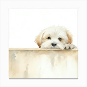 Shih Tzu Puppy Canvas Print