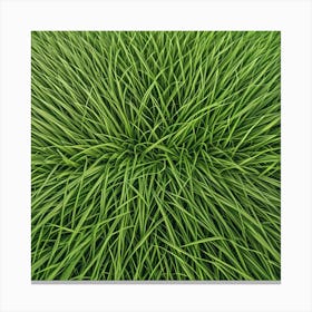 Grass Background 4 Canvas Print