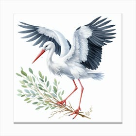 Stork 4 Canvas Print