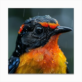 Rain Bird Canvas Print