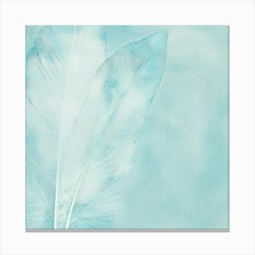 Feathers Canvas Print Canvas Print