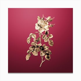 Gold Botanical Four Seasons Rose in Bloom on Viva Magenta Canvas Print