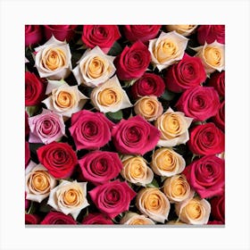 Colorful Roses Background Photo Canvas Print