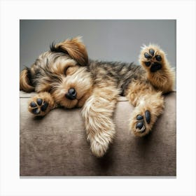 Yorkshire Terrier Puppy Sleeping Canvas Print