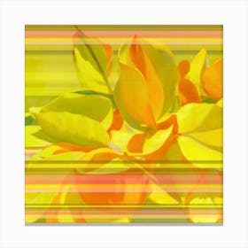 Yellow Flowers On Stripes Canvas Print