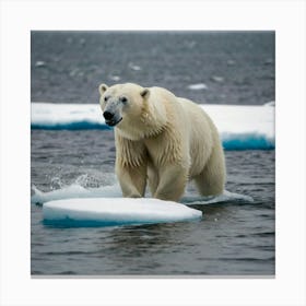 Polar Bear On Ice Floes Canvas Print