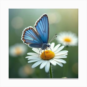 A Beautiful Blue Butterfly Landing On A Daisy 1 Canvas Print