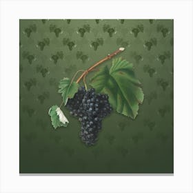 Vintage Black Canaiolo Botanical on Lunar Green Pattern n.0151 Canvas Print