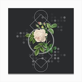 Vintage Rosa Indica Botanical with Geometric Line Motif and Dot Pattern n.0354 Canvas Print