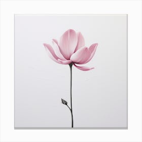 Pink Lotus Canvas Print