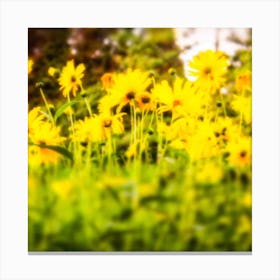 Hazy Yellow FLowers Canvas Print