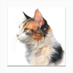 Skookum Cat Portrait 2 Canvas Print