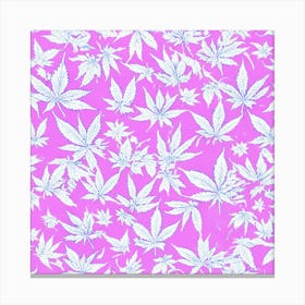 Marijuana Leaves On A Pink Background Canvas Print