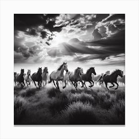 Horses In The Sky Canvas Print