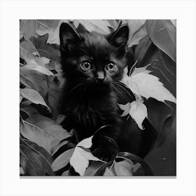 Black and White Black Kitten In Leaves 5 Canvas Print