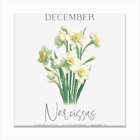 Narcissus - December Birthday Canvas Print