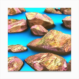 Rocks In The Water Canvas Print