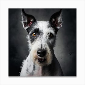 Portrait Of A Schnauzer 3 Canvas Print