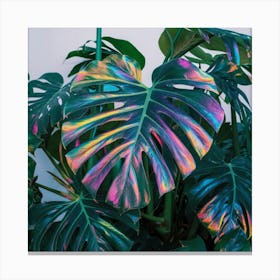 Plants Art Canvas Print