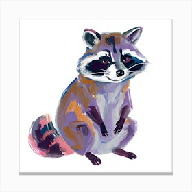 Raccoon 12 Canvas Print