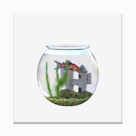 Fish In A Bowl Goldfish Water Plant Canvas Print