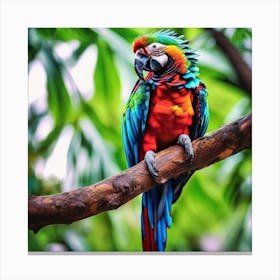 Colorful Parrot Canvas Print