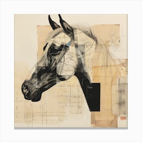 Abstract Equines Collection 24 Canvas Print