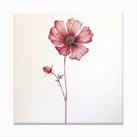 Cosmos 3 Canvas Print