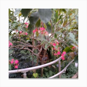 Pink Flowers In A Greenhouse 1 Canvas Print