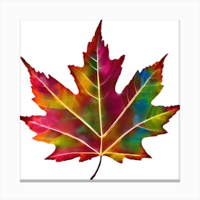Maple Leaf Canvas Print