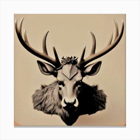 Deer Head 32 Canvas Print