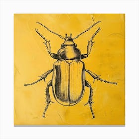 Beetle 11 Canvas Print