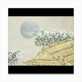 Azuchi-San Canvas Print