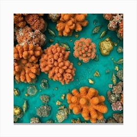 Coral Reef 22 Canvas Print