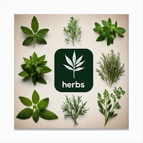 Herbs Stock Videos & Royalty-Free Footage 1 Canvas Print