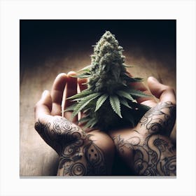 Hand Holding A Marijuana Plant Canvas Print