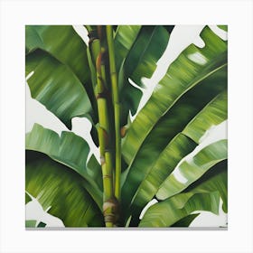 Banana Leaf Canvas Print