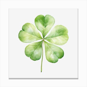 Four Leaf Clover 8 Canvas Print